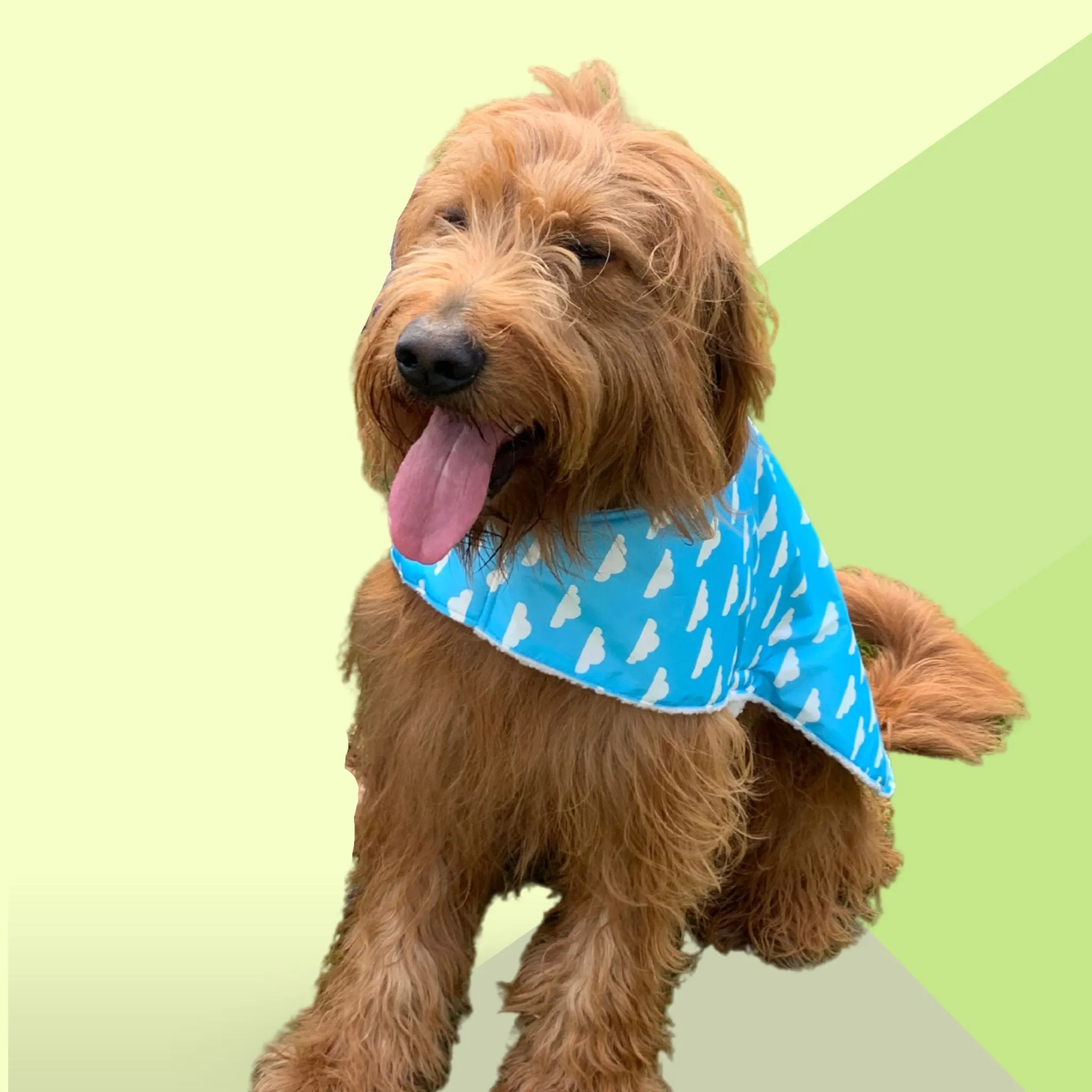 Sherpa Lined Windbreaker Dog Coat - Cloud